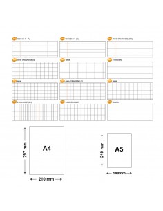 Conf. 10 Quaderni Pigna Q.I. A4 con rigatura speciale per dislessici e  disgrafici